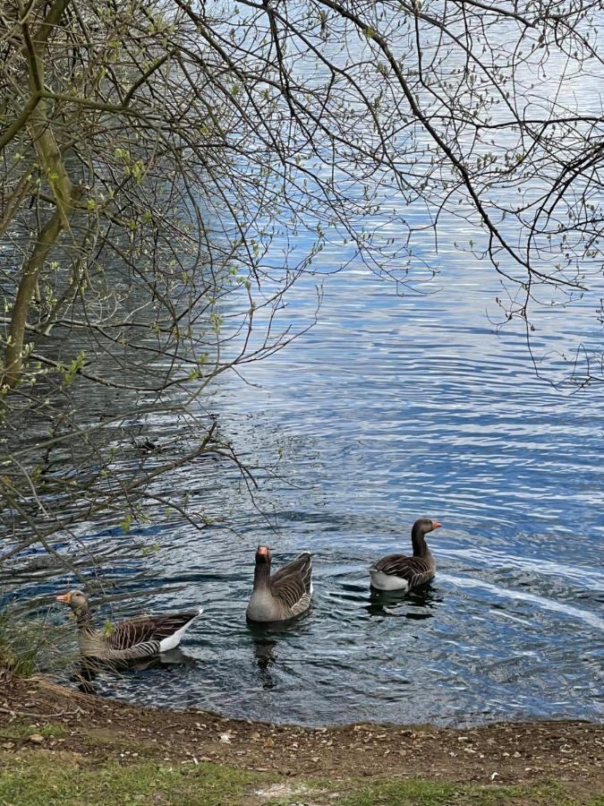 Sunscape Breaks At Tattershall Lakes Hotel Buitenkant foto