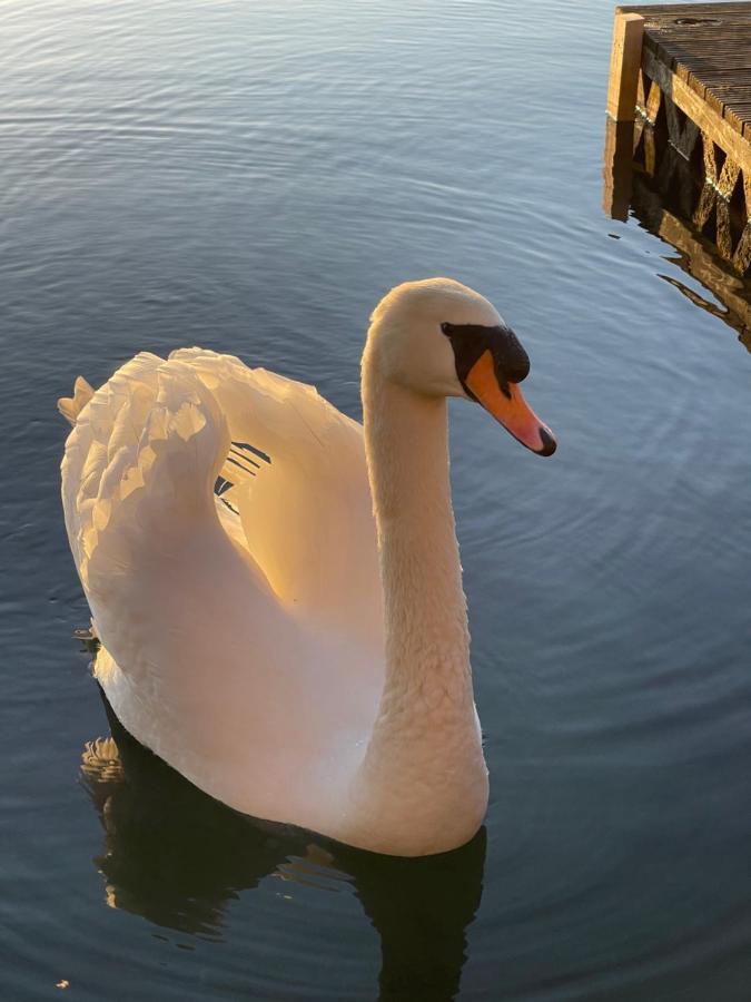 Sunscape Breaks At Tattershall Lakes Hotel Buitenkant foto